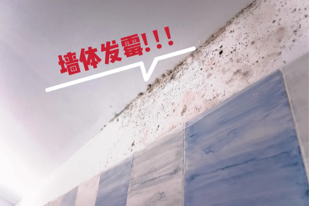 家装防水涂料该如何选？球盟会官网入口帮你支招